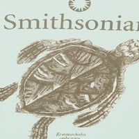 Маици за животни и желки на Смитсонијан Јуниорс, 2-пакет