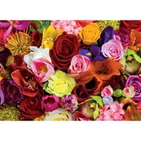 Ремек-дела, мирисате рози сложувалка, уметност од Даглас Пиблс, 500 парчиња