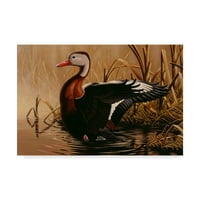Трговска марка ликовна уметност „Црното белиот патка“ платно уметност од Вилхелм Гобел