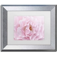 Трговска марка ликовна уметност „Роуз розова роза“ платно уметност од Кора Ниле, бела мат, сребрена рамка