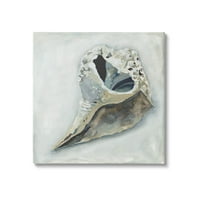 Sumn Industries Наутичка конч за сликање на школка за сликање завиткана од платно печатење wallидна уметност, дизајн од Ерика Кристофер