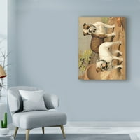 Трговска марка ликовна уметност „Бул кучиња“ платно уметност од Веро Шоу