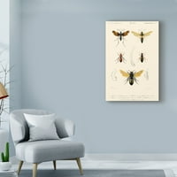 Трговска марка ликовна уметност „Антички пчели I“ платно уметност од Бланшард